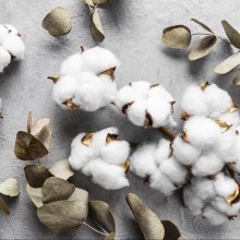 Виды хлопковой ткани